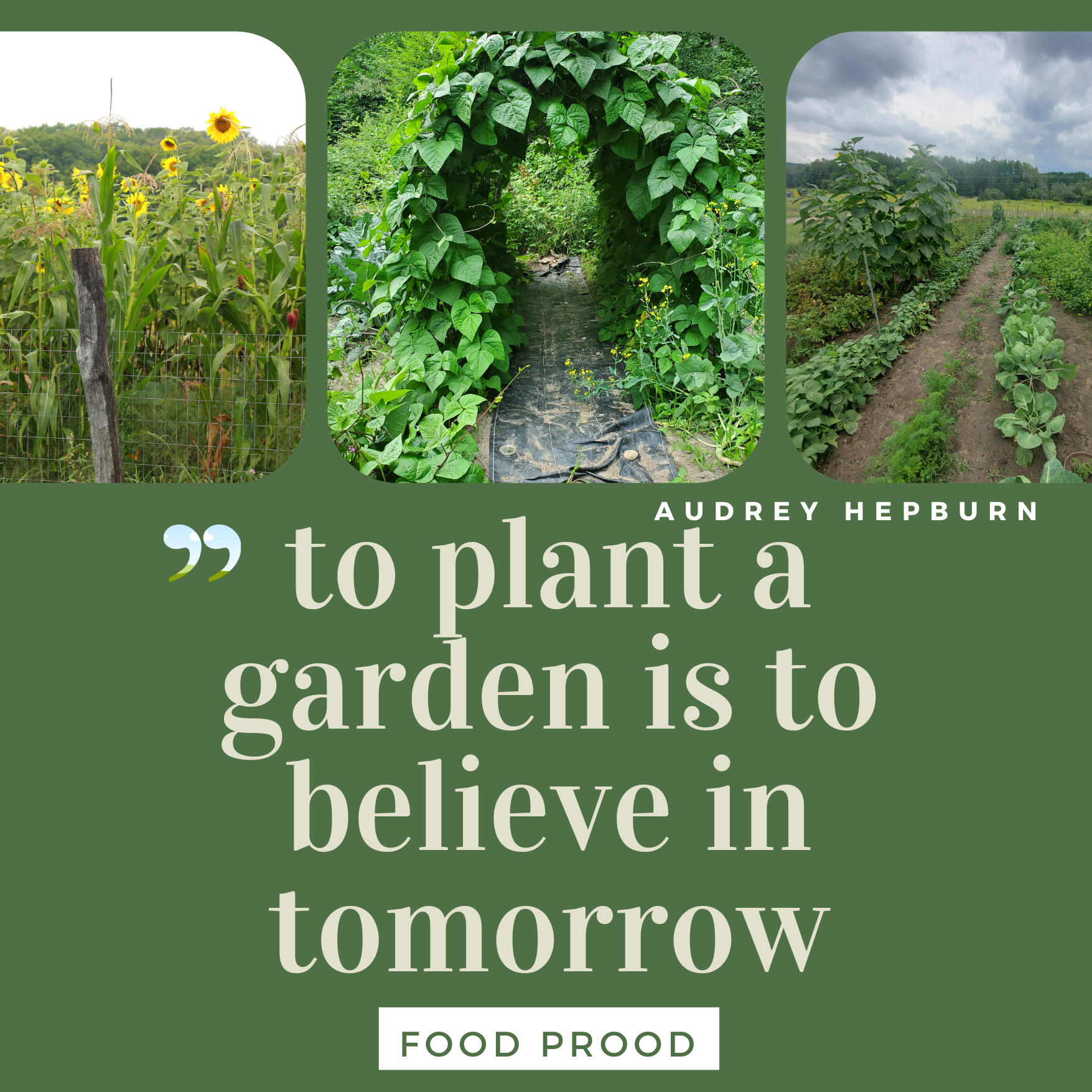 To Plant a Garden is to Believe in Tomorrow