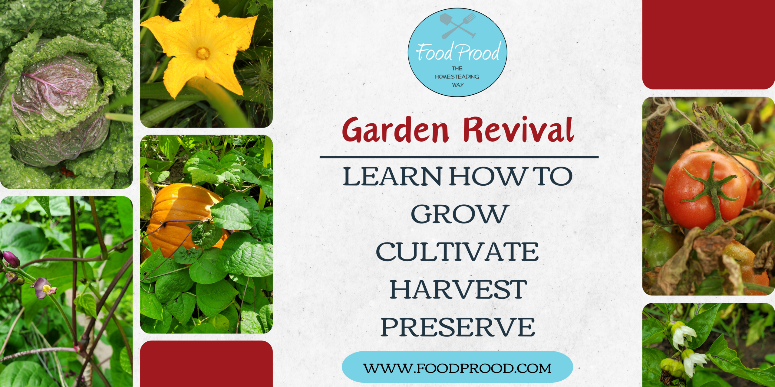 Welcome to the Garden Revival! grow – cultivate – harvest – preserve