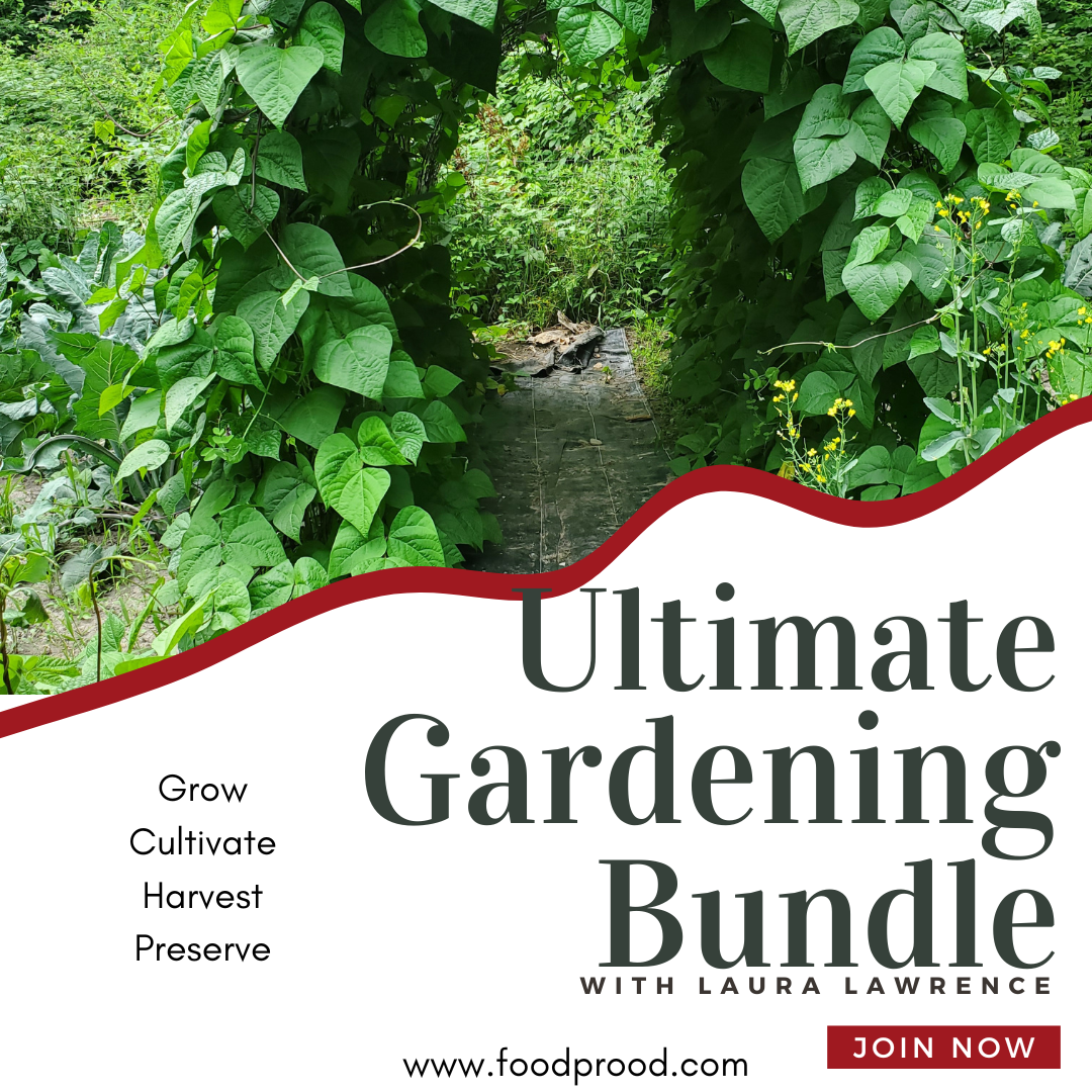 Ultimate Gardening Bundle – Learn Seed to Preservation