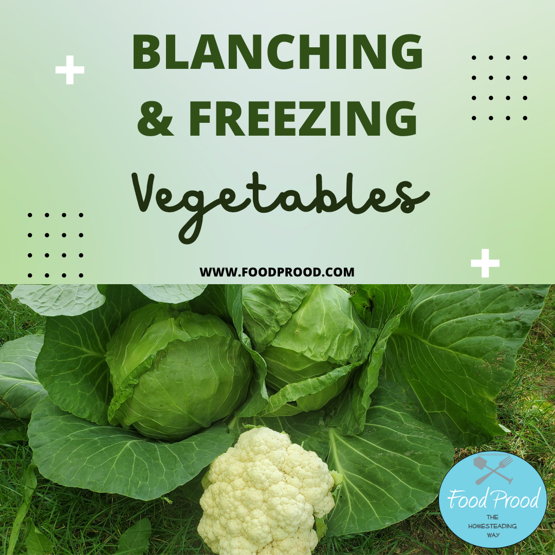 Learn  how to Blanch & Freeze Vegetables