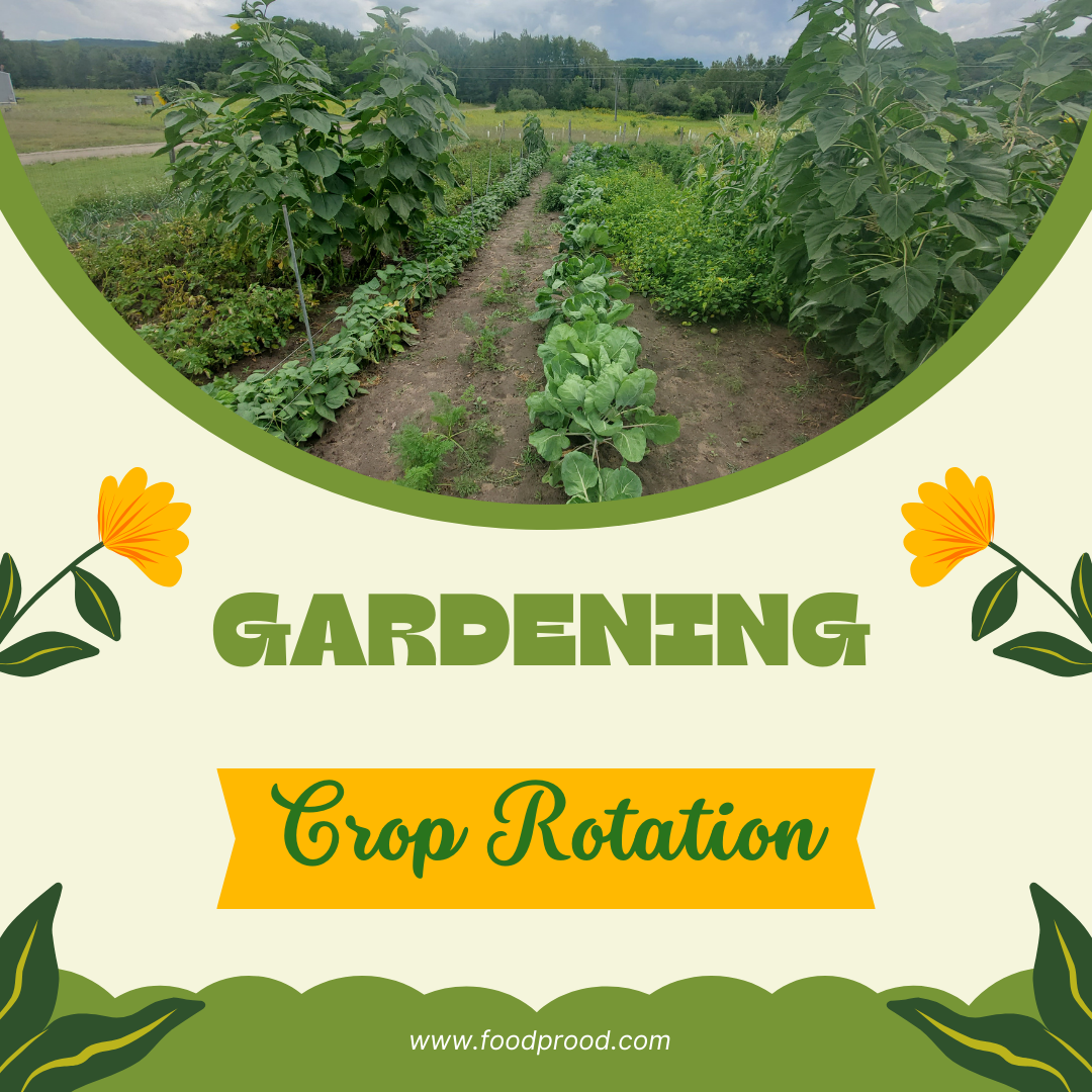 Benefits of Crop Rotation