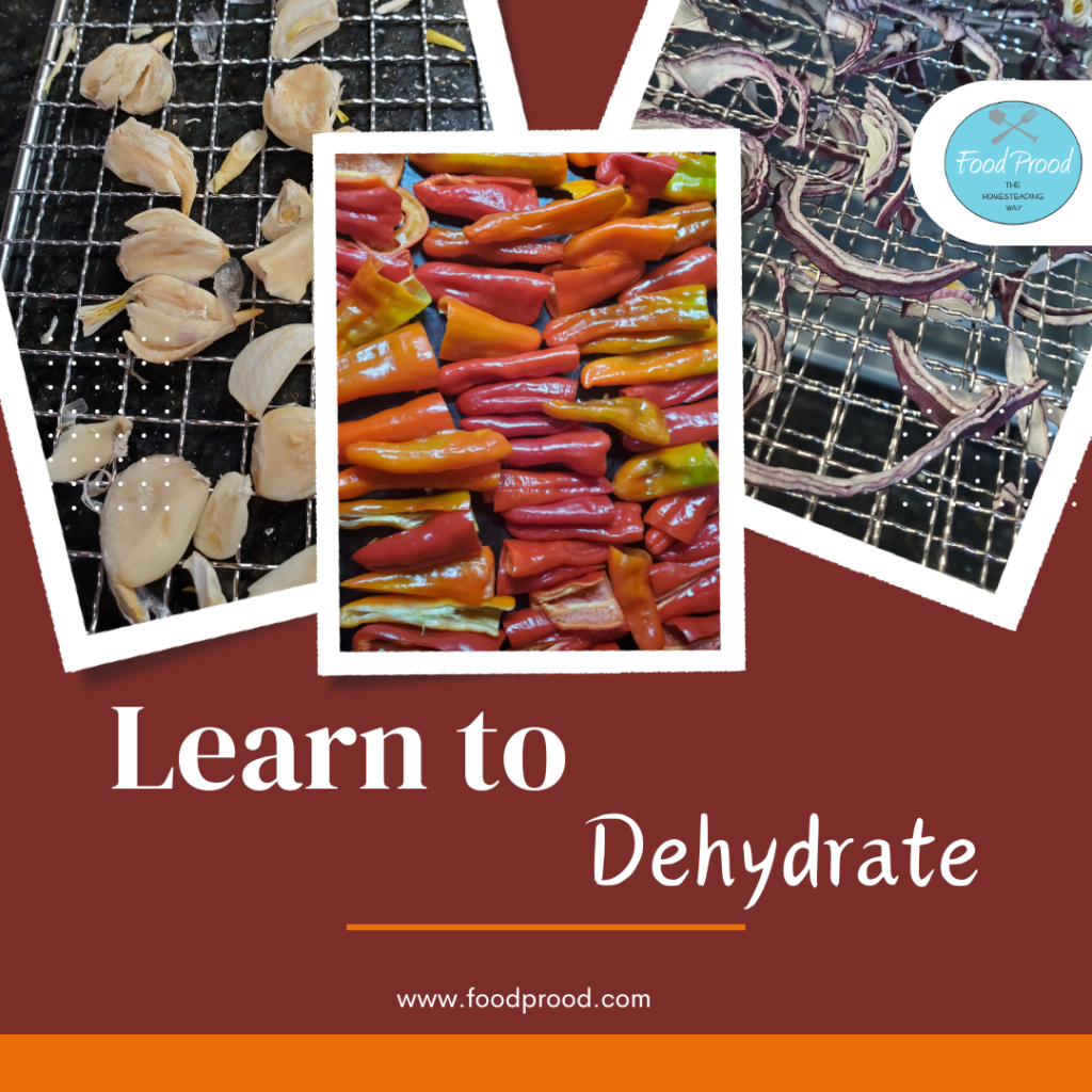 learn how to dehydrate