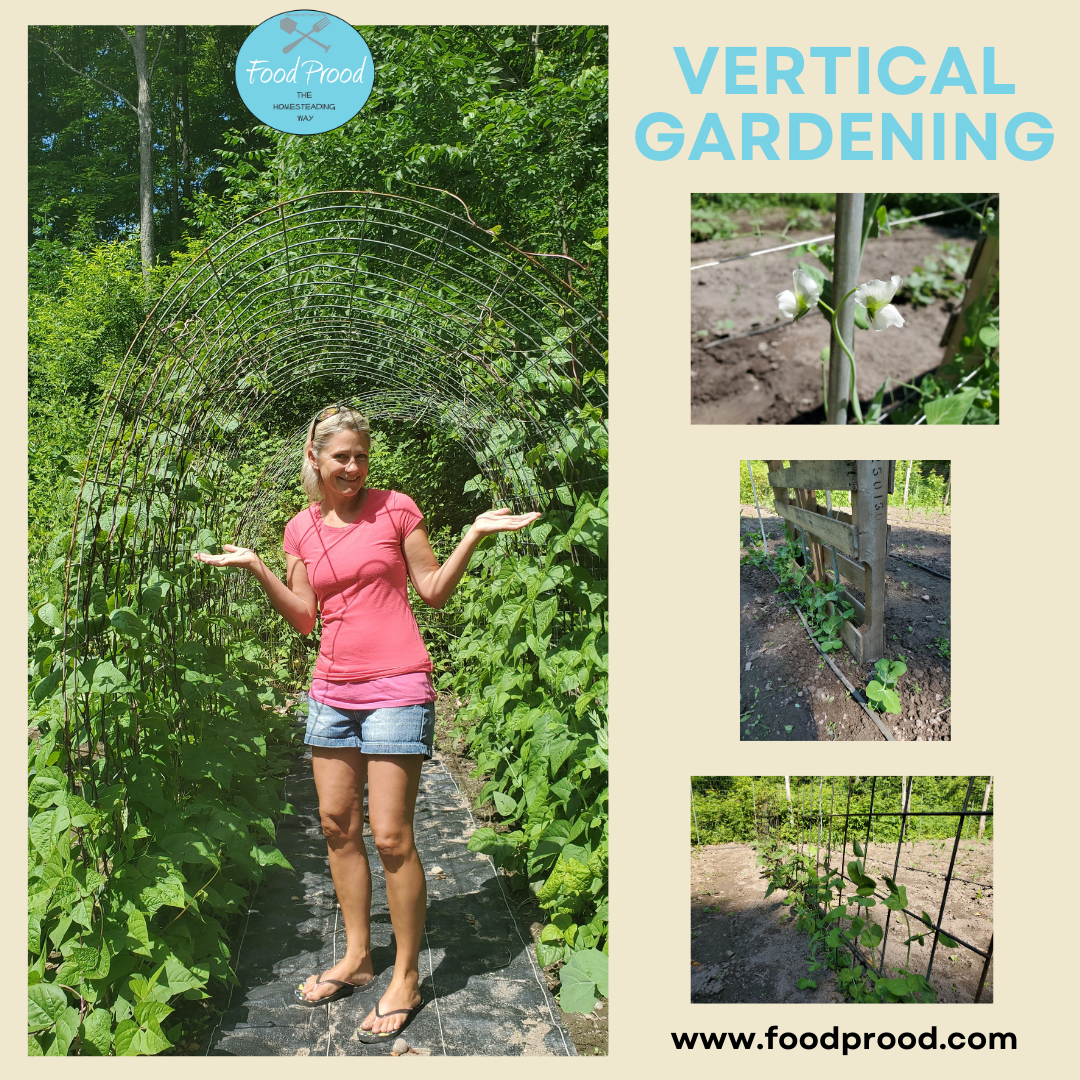 Learn how to maximize space by Vertical Gardening