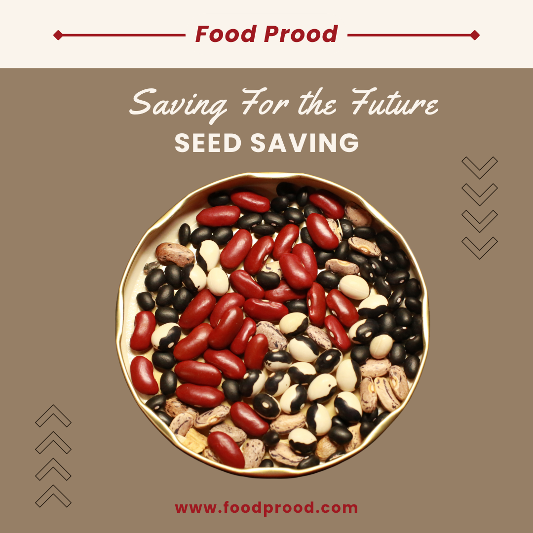 Saving for the Future- Creating a Seed Bank- Learn about Seed Saving