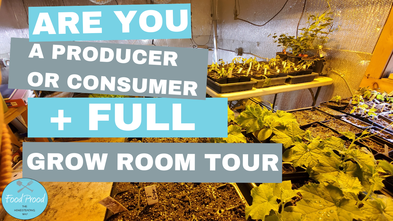 Consumer or Producer + Full Grow Room Garden Tour