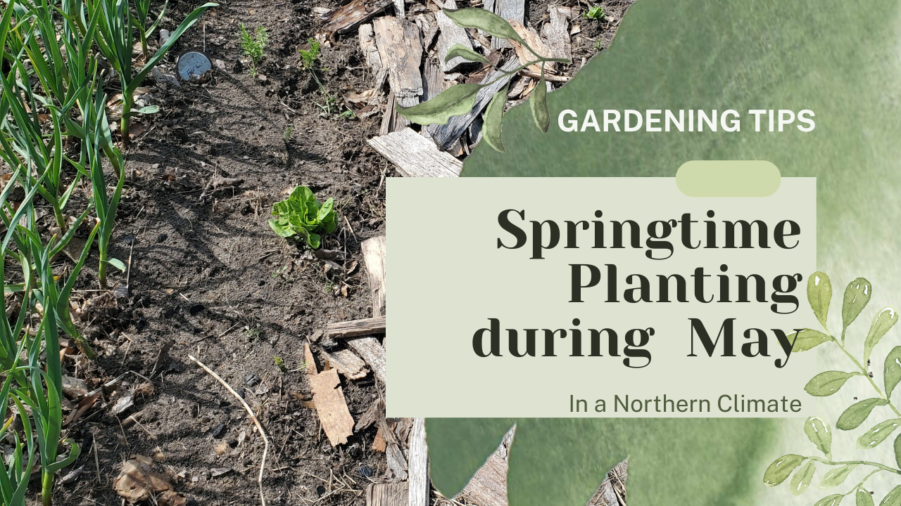 Spring Planting in Northern Michigan