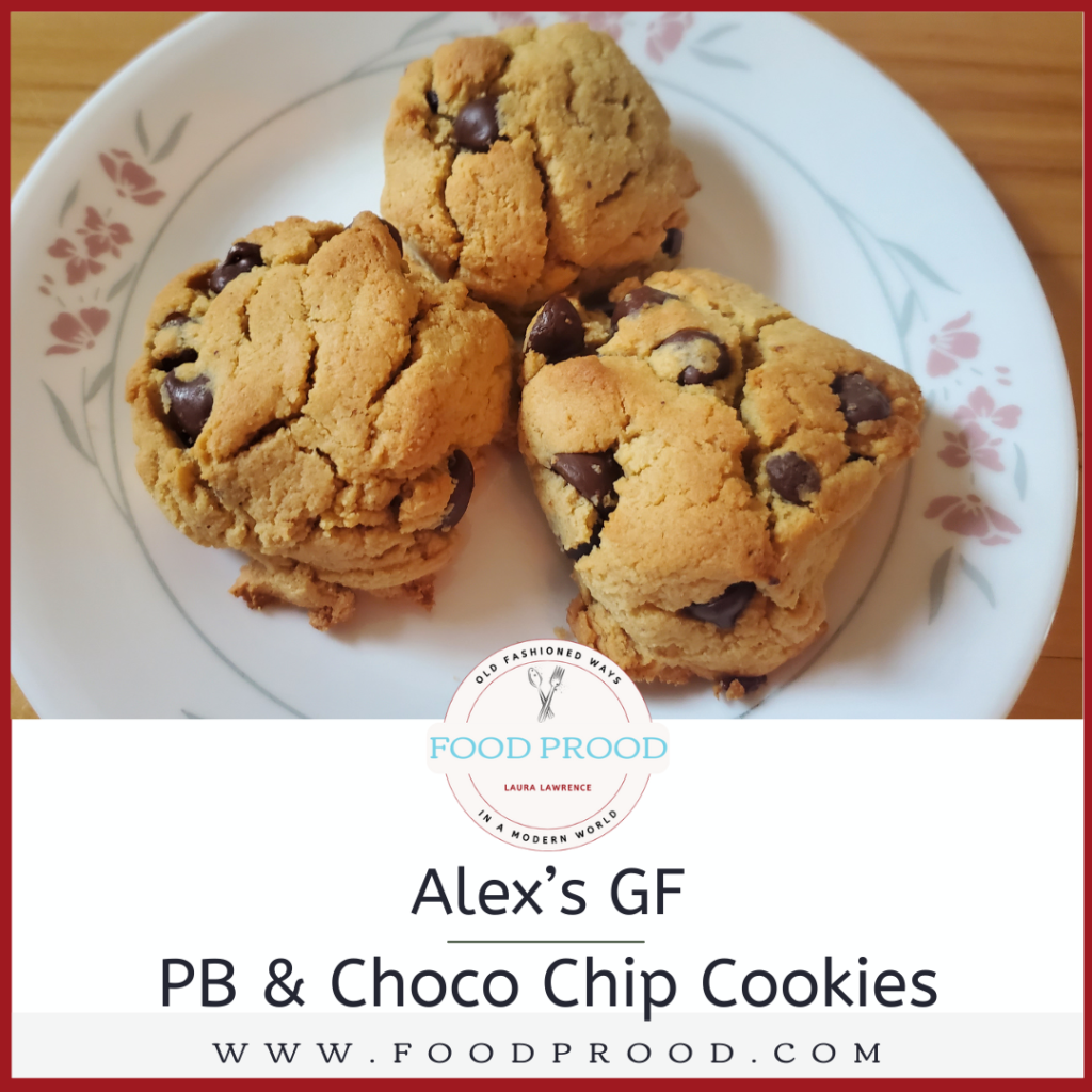 chocolate chip gluten free peanut butter cookie recipe