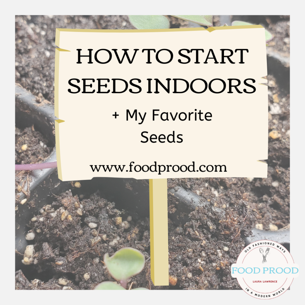 how to start seeds indoors plus my favorite seed choices