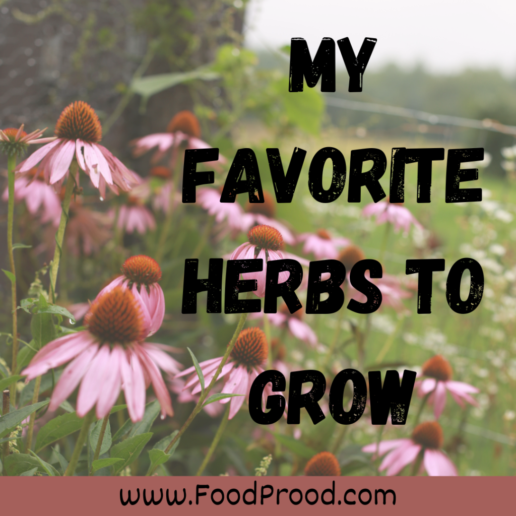 my favorite herbs to grow