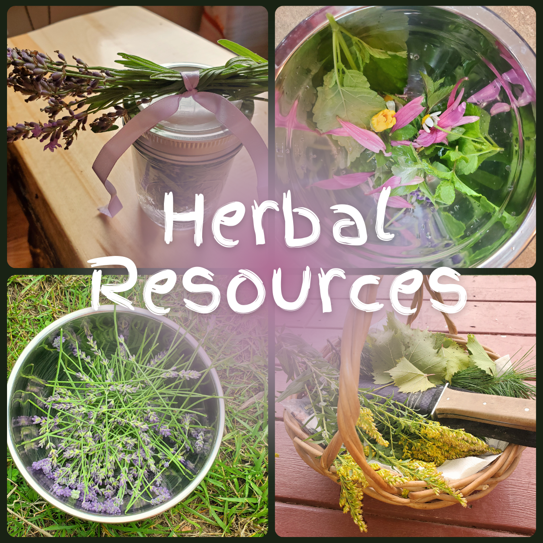 The Herbs are Rollin in’! Grab my Freebies + Resources