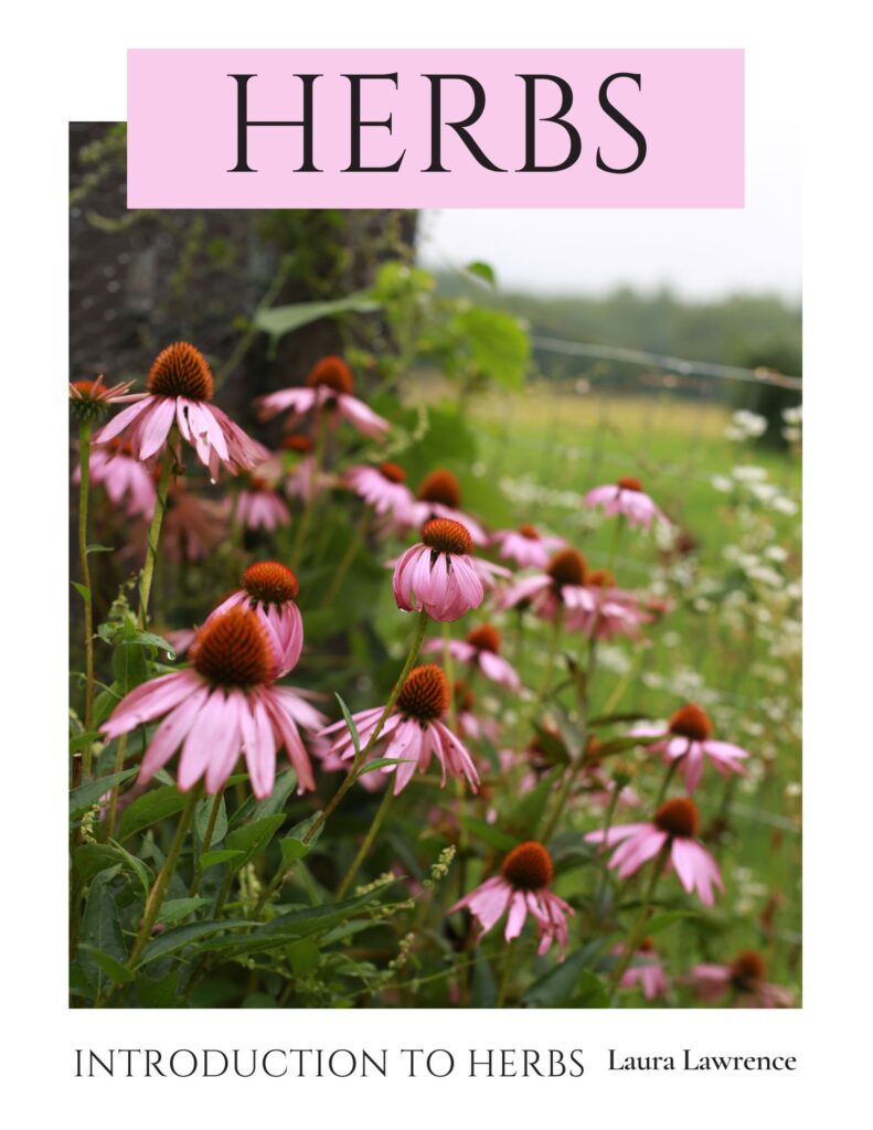 introduction to herbs apothecary