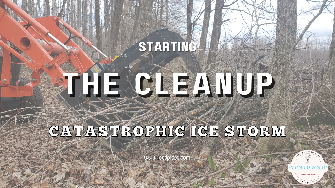 Catastrophic Ice Storm Aftermath | Massive Cleanup Begins!