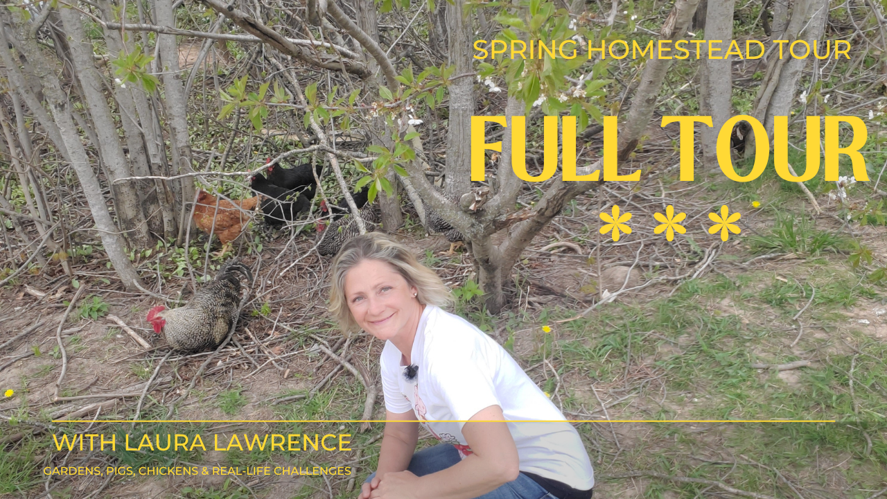 Full Spring Homestead Tour | Gardens, Pigs, Chickens & Real-Life Challenges