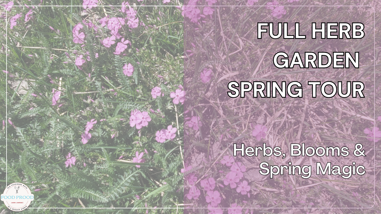 Herbs, Blooms & Spring Magic | Cottage Garden Tour on the Homestead