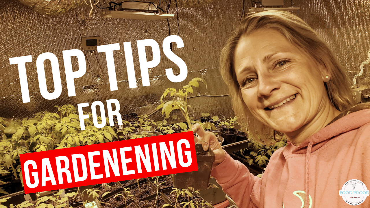 Simple Gardening Tips to Save Money