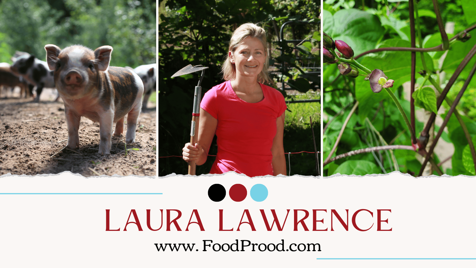 🌿 Spring Has Sprung! Fresh Recipes & Homestead Happenings from Northern Michigan