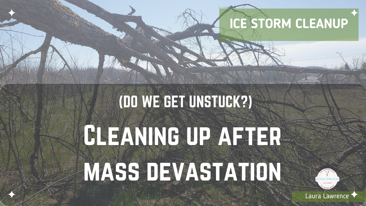 Cleaning Up After the Mass Devastation from the Ice Storm in Northern Michigan