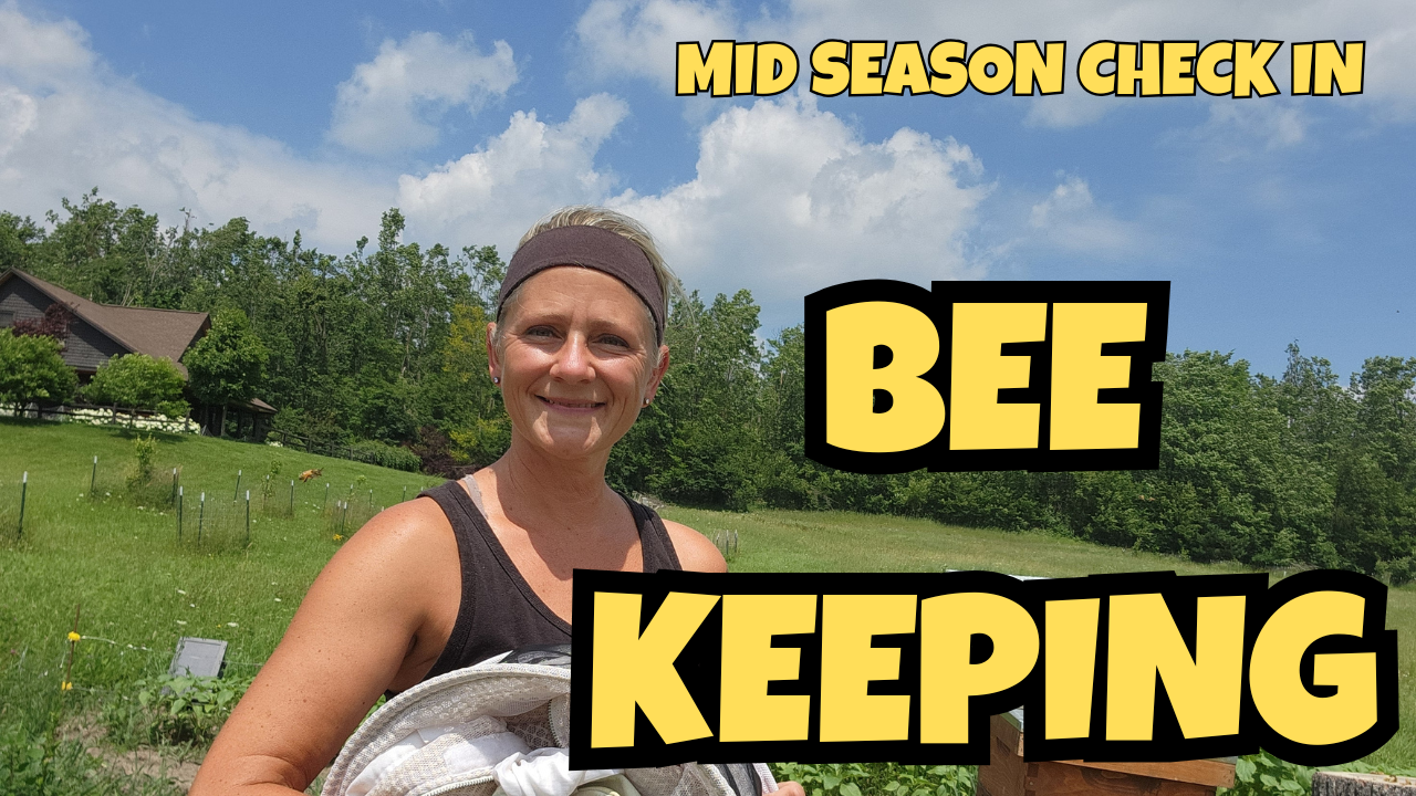 Hands-Off Beekeeping: How My Bees Are Doing Mid-Season