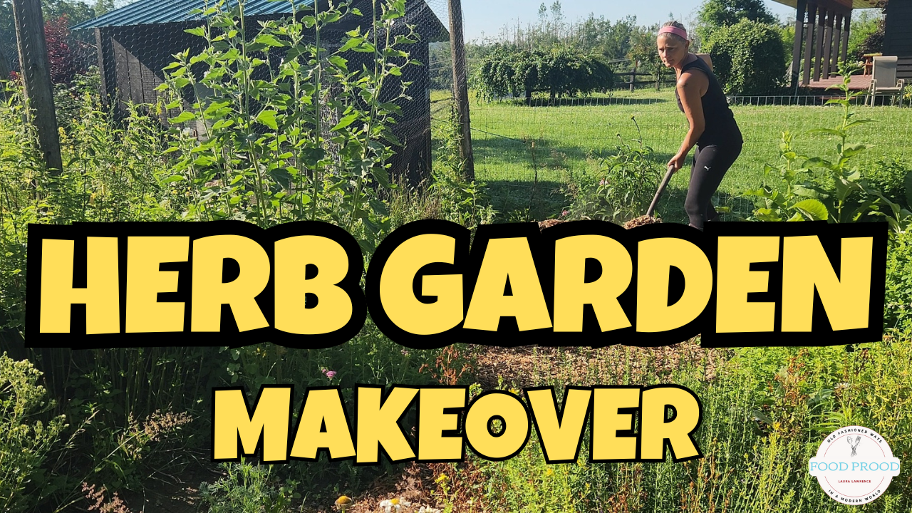 Herb Garden Makeover 🌱 | Transforming My Space for Medicinal Herbs After the Ice Storm
