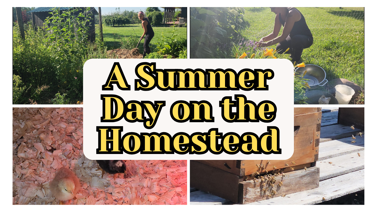 Middle of July Already?! Let’s Not Talk About It… + Recipes + Spend a summer day on the homestead with me