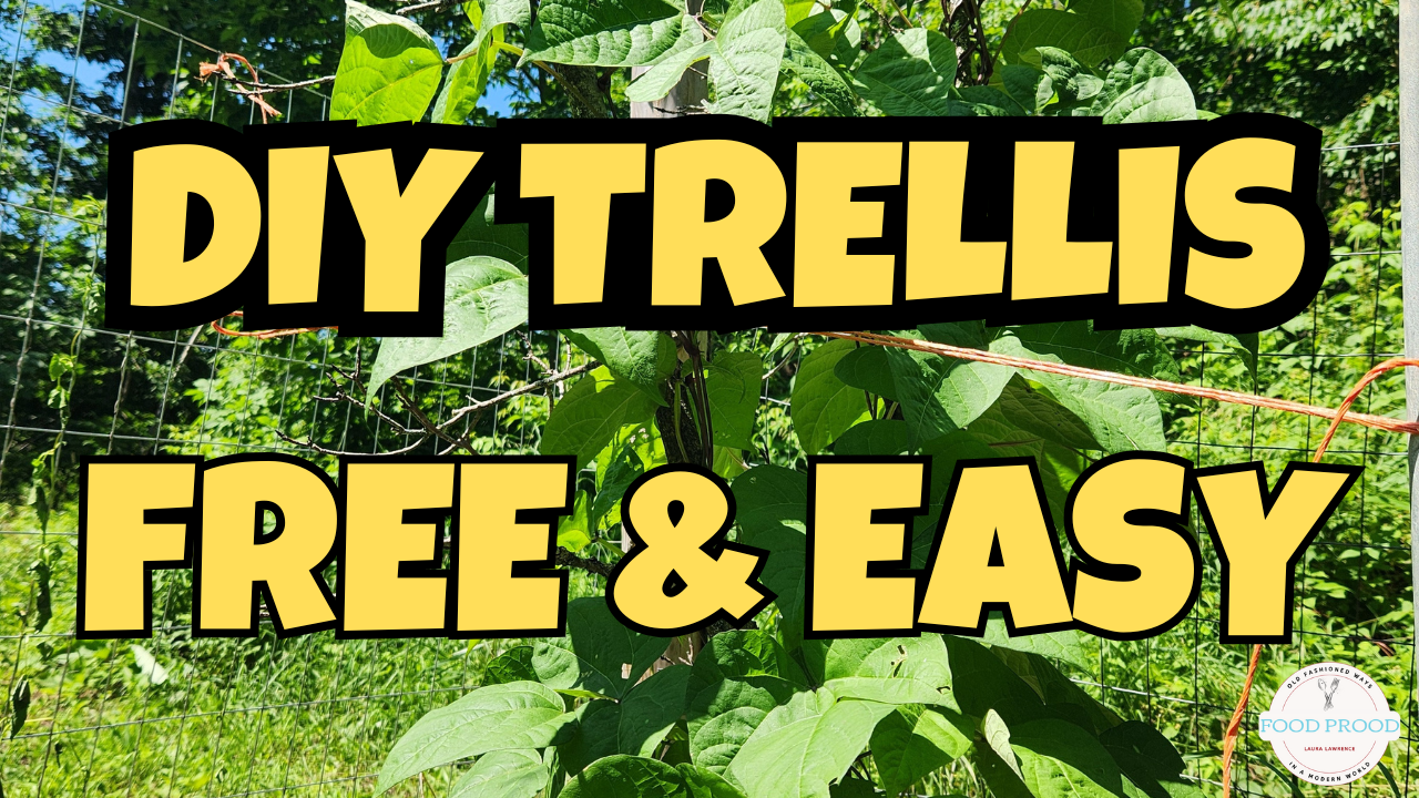DIY Trellis for Beans, Cucumbers & Peas – Free, Easy & Kid-Created! 🌱👨‍👦