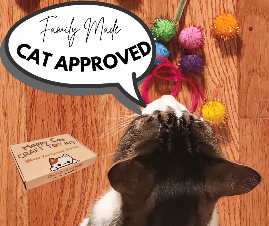 A simple Christmas gift for the cat lover 🐾🎄