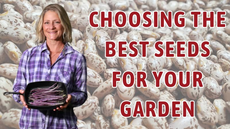 Seeds, Snow, & Simple Comforts from Our Homestead