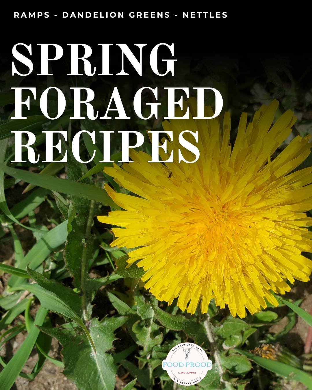 Spring Foraged Recipes