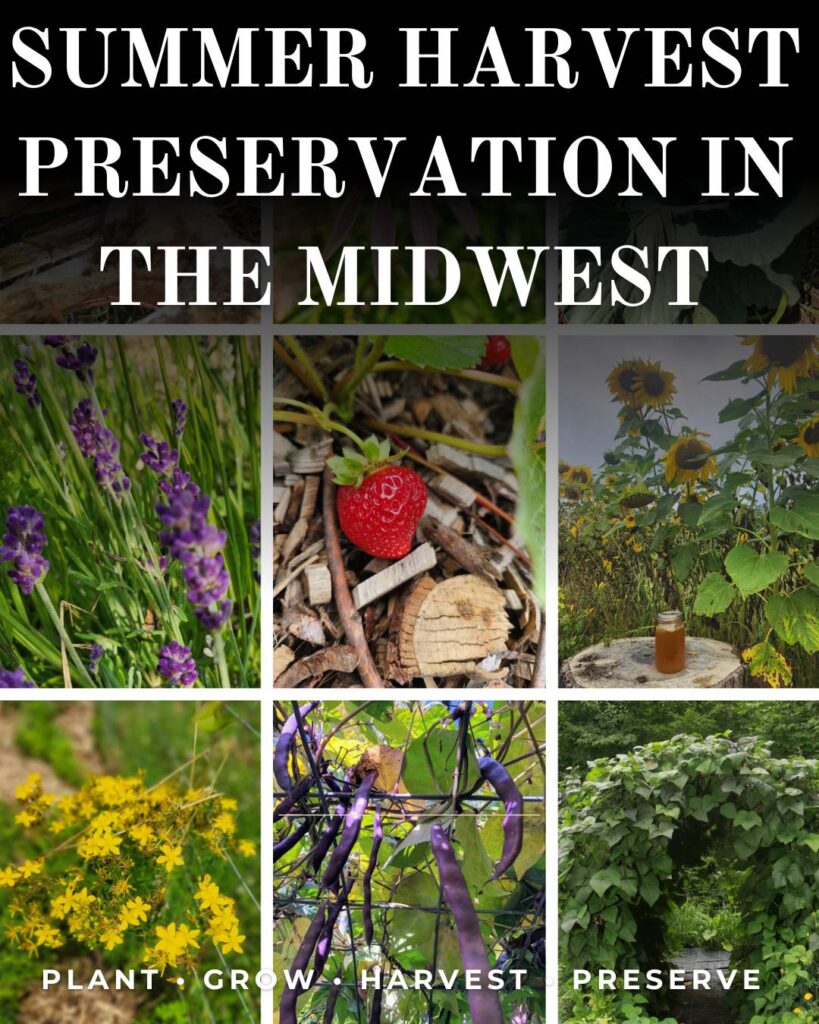 Preserving the Harvest