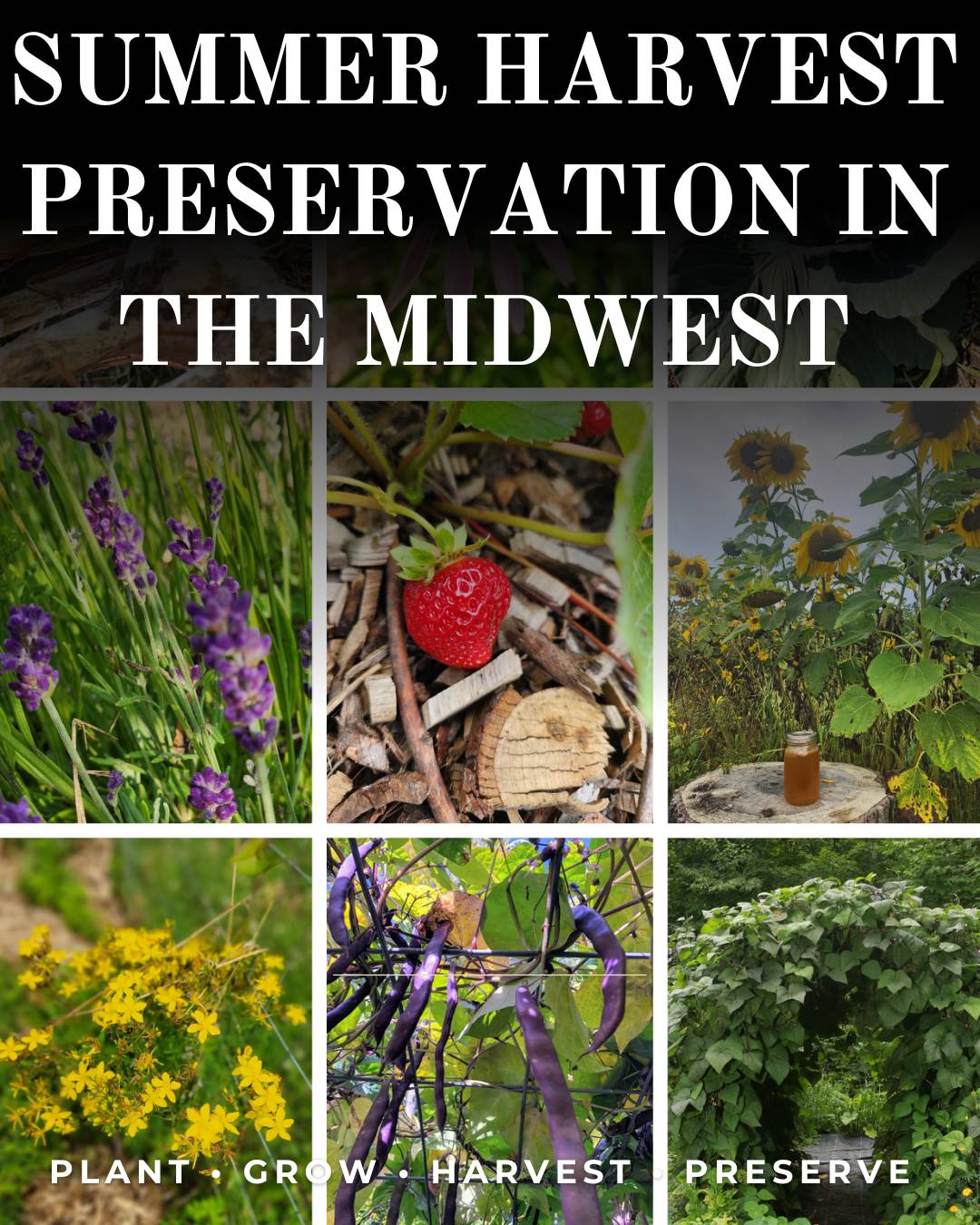 Preserving the Harvest